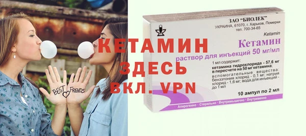 индика Горно-Алтайск