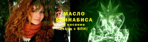 индика Горно-Алтайск