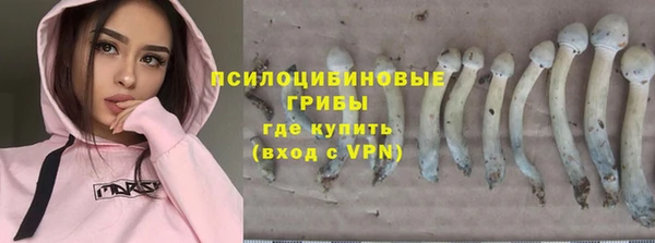 индика Горно-Алтайск