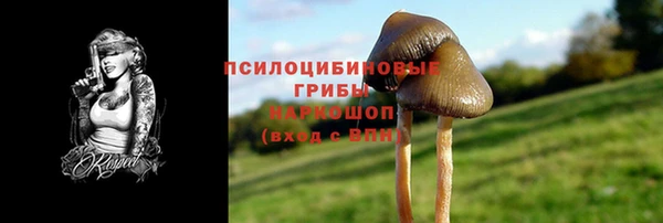 индика Горно-Алтайск