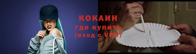 индика Горно-Алтайск