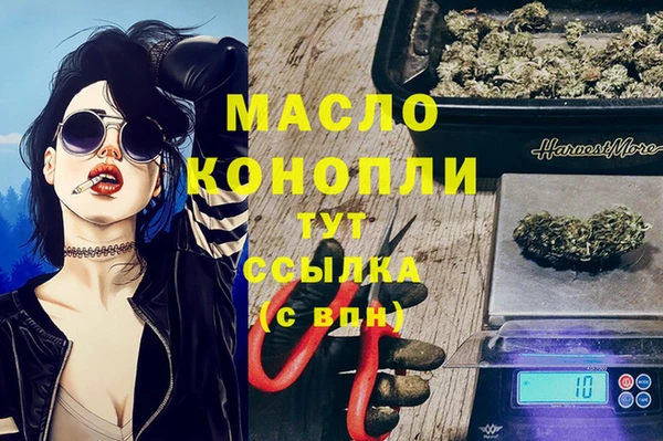 индика Горно-Алтайск