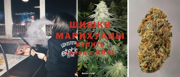 индика Горно-Алтайск