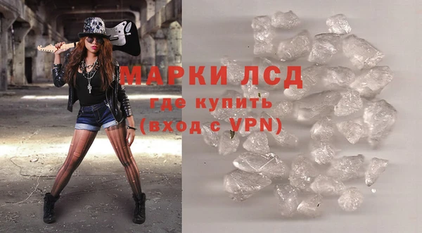 индика Горно-Алтайск