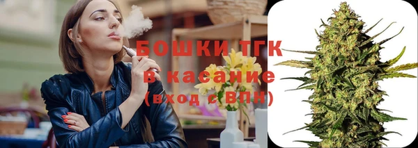 индика Горно-Алтайск