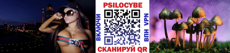 как найти наркотики  ОМГ ОМГ ССЫЛКА  Псилоцибиновые грибы GOLDEN TEACHER  Зея 